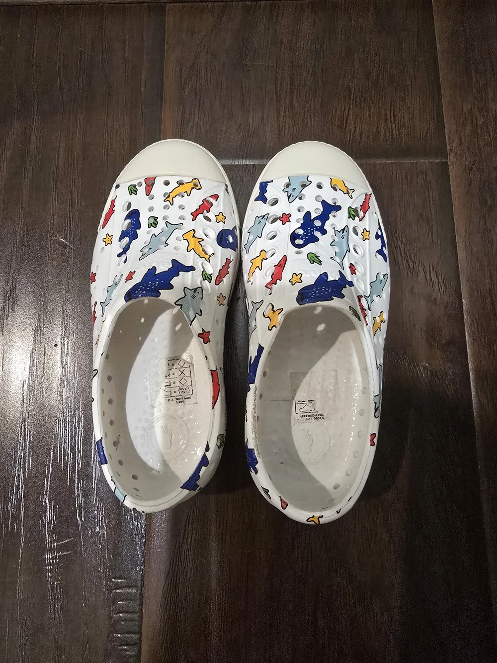 Native Jefferson Slip On Shark Shoes C9